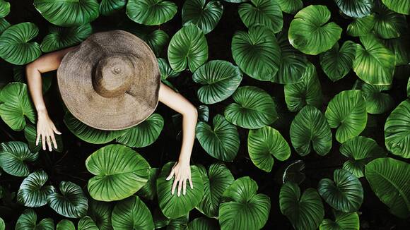Sustainability
