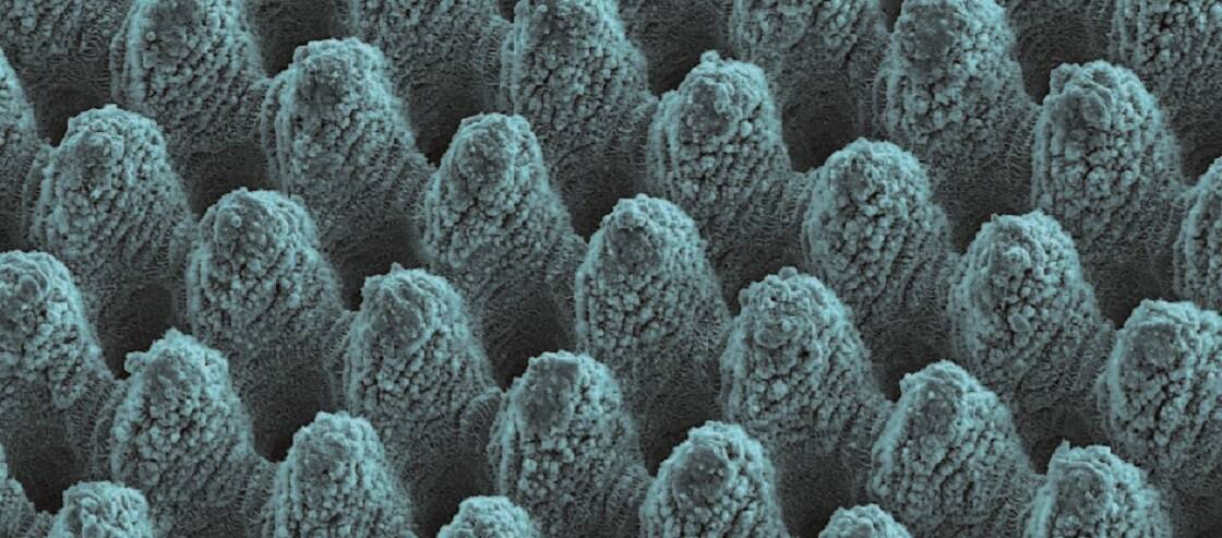 El proyecto Lampas permitirá desarrollar superficies novedosas en electrodomésticos con un coste asequible