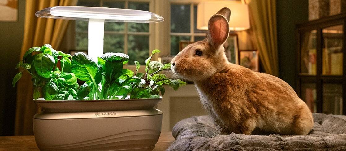 SmartGrow, una nueva vida para los plásticos